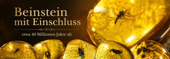 Bernstein mit Einschluss