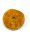 Bernstein Donut Vegvisir