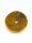 Bernstein Donut Vegvisir