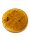 Bernstein Donut Vegvisir