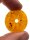 Bernstein Donut Vegvisir