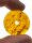 Bernstein Donut Vegvisir