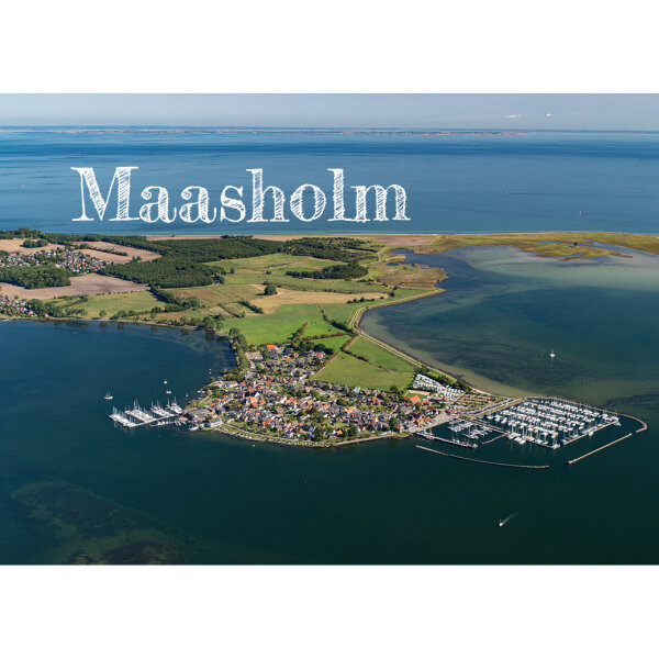 Magnet - Maasholm