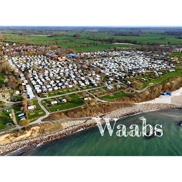 Magnet - Waabs