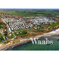 Magnet - Waabs