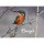 Magnet - Eisvogel