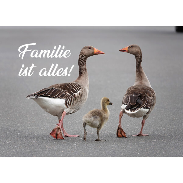 Magnet - Familie ist alles