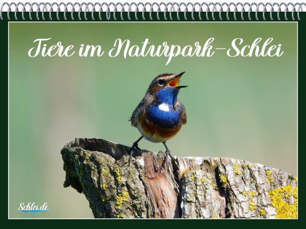 Kalender - Tiere im Naturpark Schlei